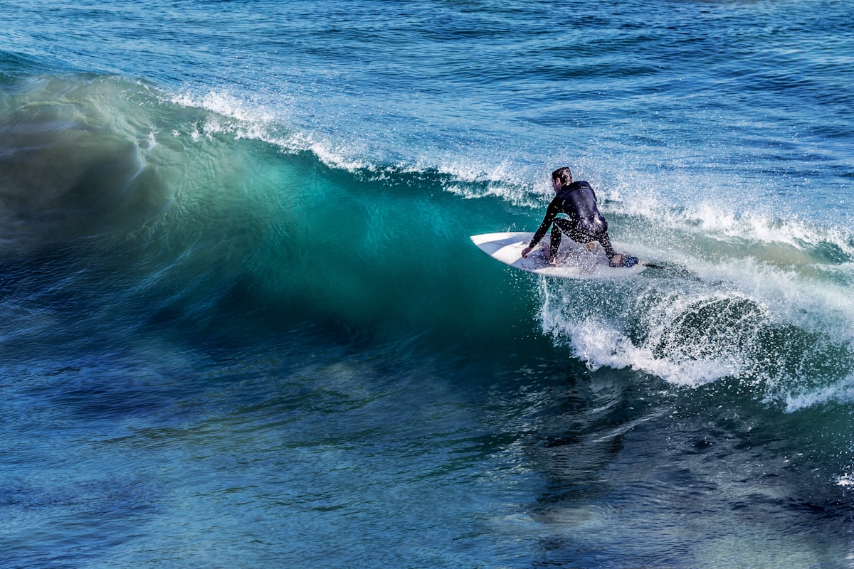 Surfer carving a wave